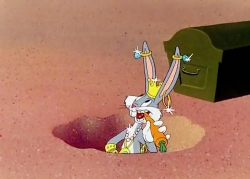 باگز بانی (باگز بانی دزد دریایی می شود)